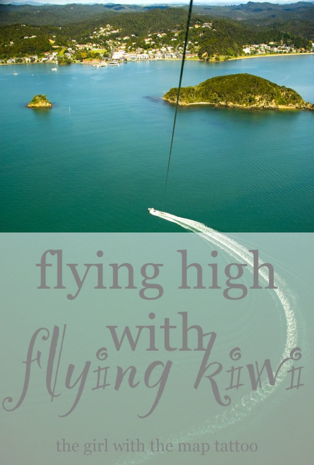 flyingkiwipin