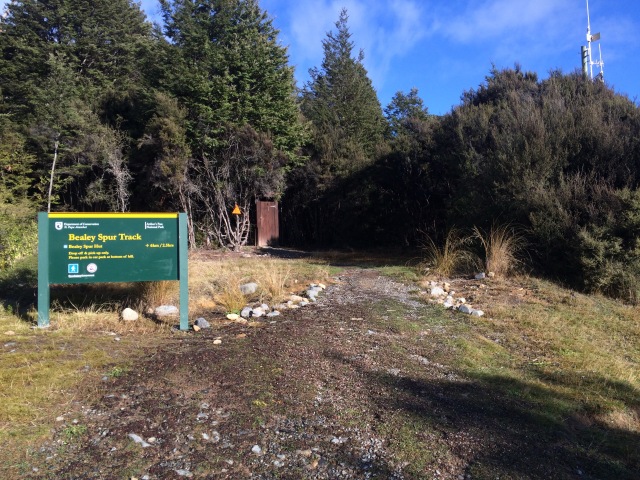 Bealey Spur track, Arthur's Pass, NZ