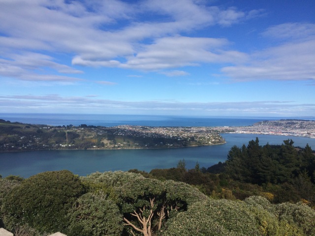 Signal Hill lookout, Dunedin; what to do in Dunedin