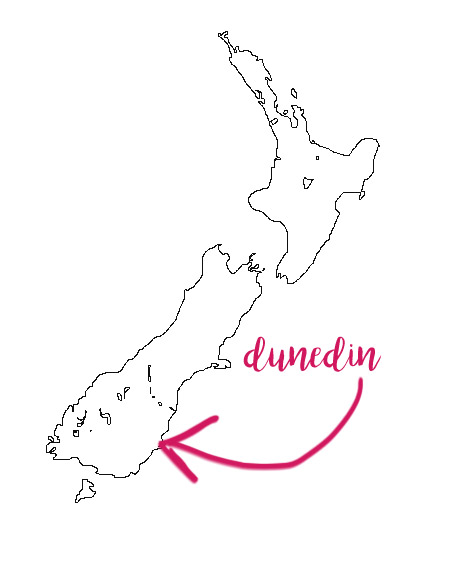 Dunedin map