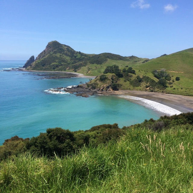 The Coromandel peninsula stretches out into the Hauraki Gulf on the eastern side of Auckland. Hundreds of kilometres of endless green and cobalt seas, empty beaches, and pine forests.... paradise :)
