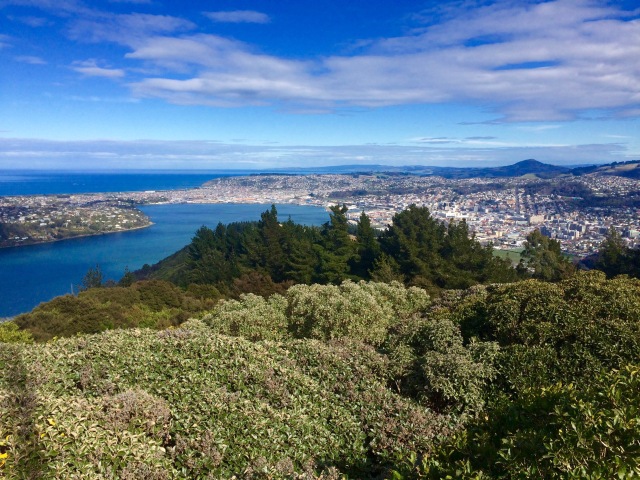 Signal hill, Dunedin, 25 things to do in Dunedin