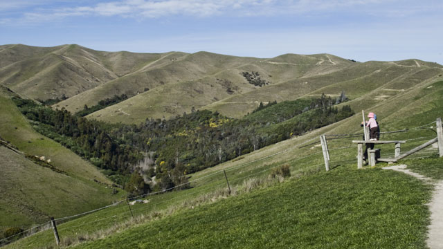 Wither Hills walkway, hiking in Marlborough, New Zealand hiking