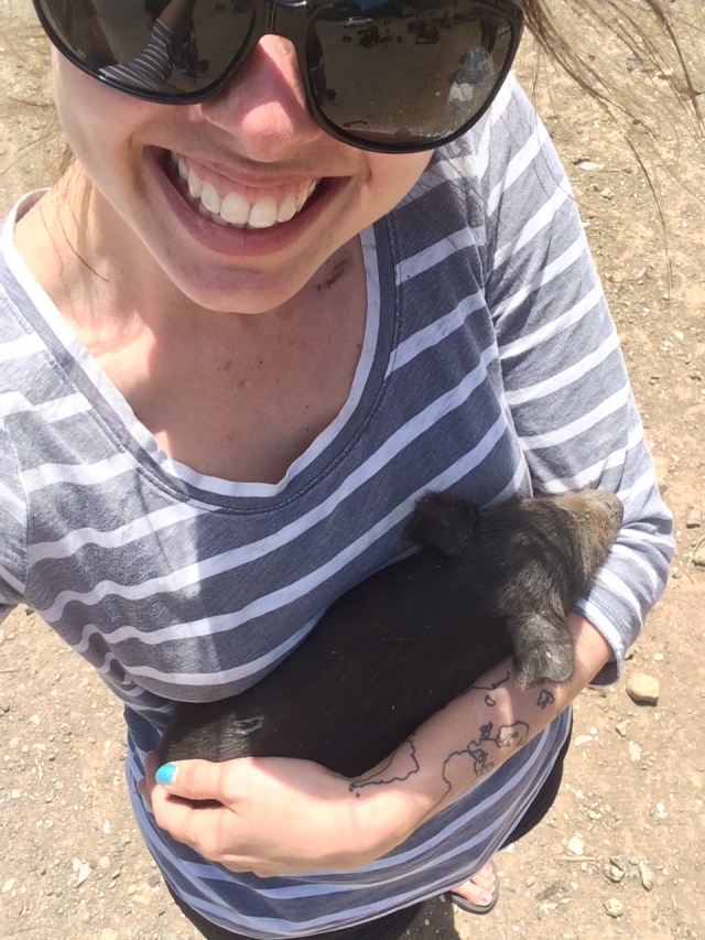 holding the most adorable little piglet on the 309 road between Coromandel Town and Whitianga, NZ