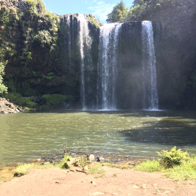 whangarei falls, waterfalls in the northland, new zealand waterfalls