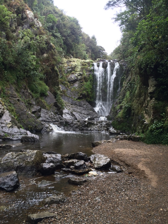 piroa falls, waterfalls in the northland, new zealand waterfalls
