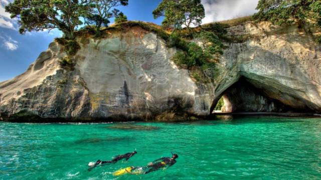 snorkeling at cathedral cove, the coromandel