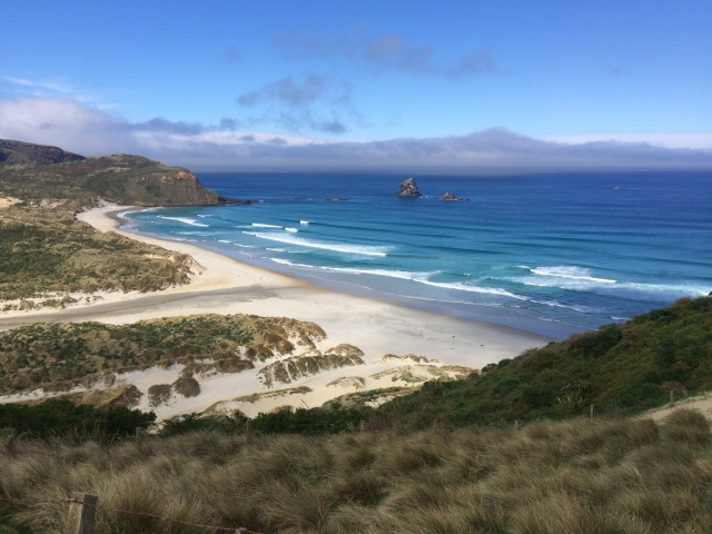 Sandfly Bay, hiking in NZ, where to hike in NZ, one day in Dunedin, what to do in Dunedin, what to do in New Zealand, New Zealand