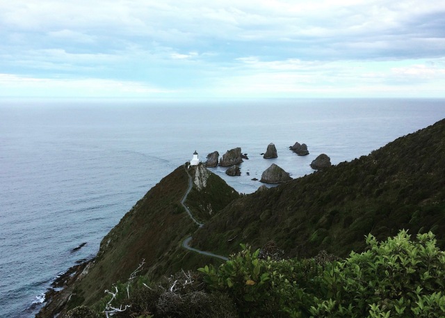 nugget point, hiking in new zealand, hikes in new zealand, walking in the catlins, hiking in the catlins, the catlins, new zealand, what to do in new zealand