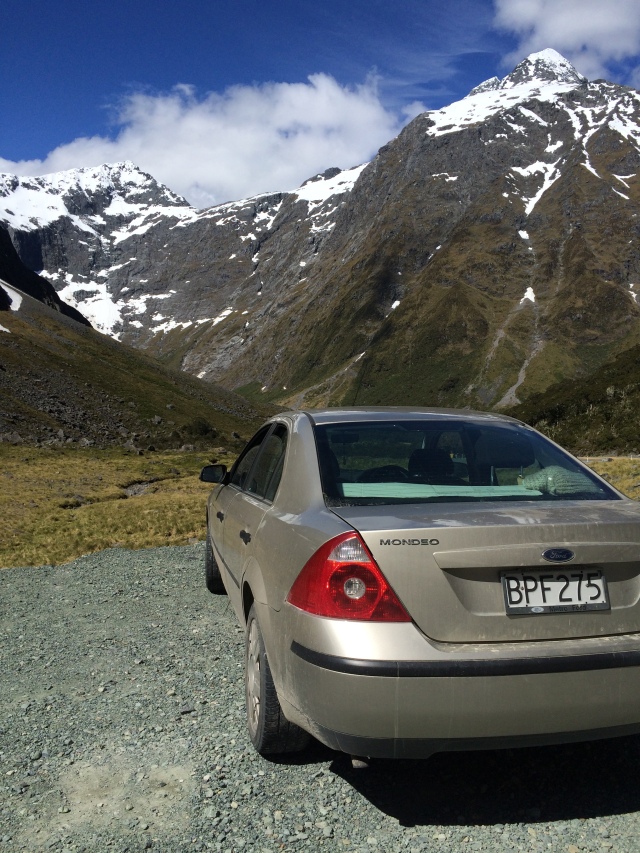 driving in New Zealand