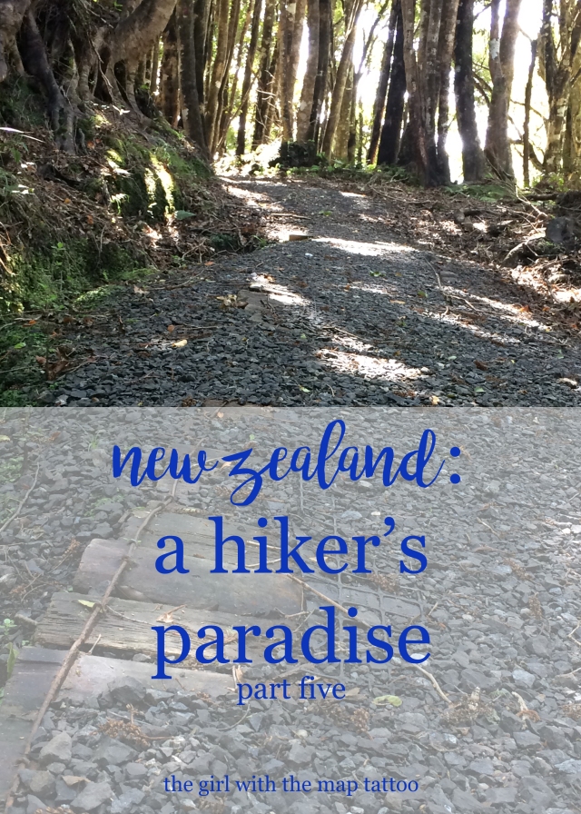 hiking in New Zealand, part five: South Island hikes